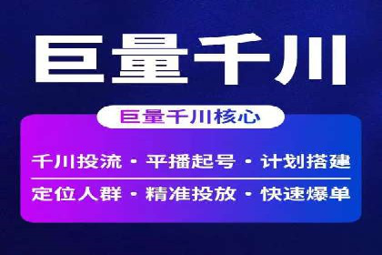 竞价排名在品牌推广中的经典案例